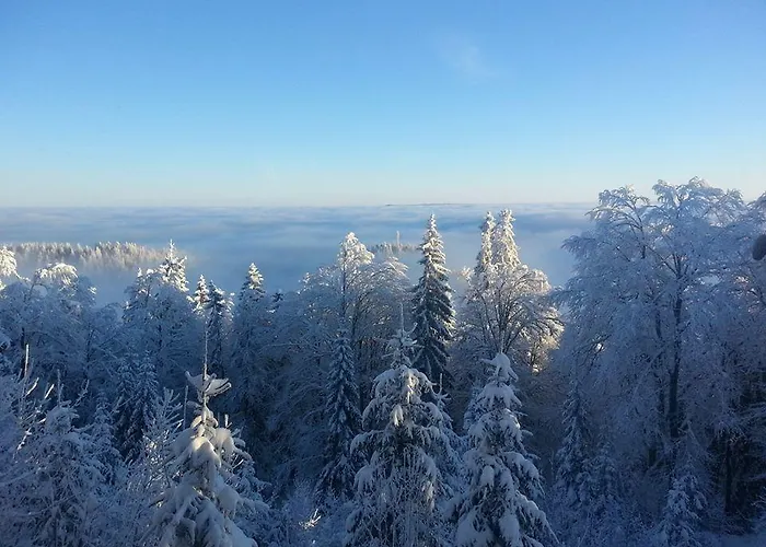 Baluma Maluba * 亚霍里纳
